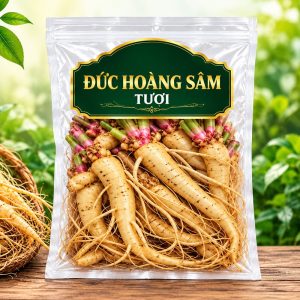 Đức Hoàng Sâm tươi